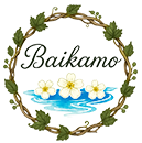 郡山市で記念日利用におすすめの古民家カフェ｜農cafe baikamo【公式】